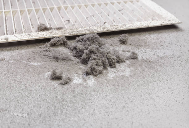 Air Duct Mold Removal in AL