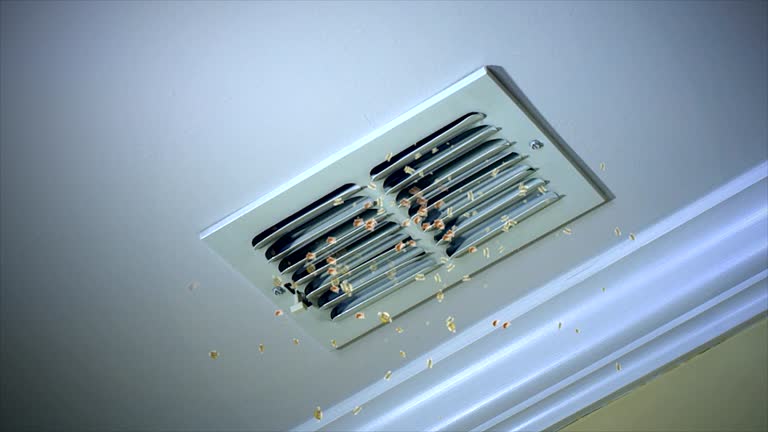 Best Affordable HVAC Duct Cleaning  in Muscle Shos, AL