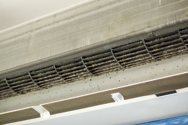 Best HVAC Maintenance and Cleaning  in Muscle Shos, AL