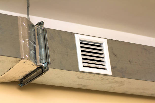Best Professional Duct Cleaning Services  in Muscle Shos, AL